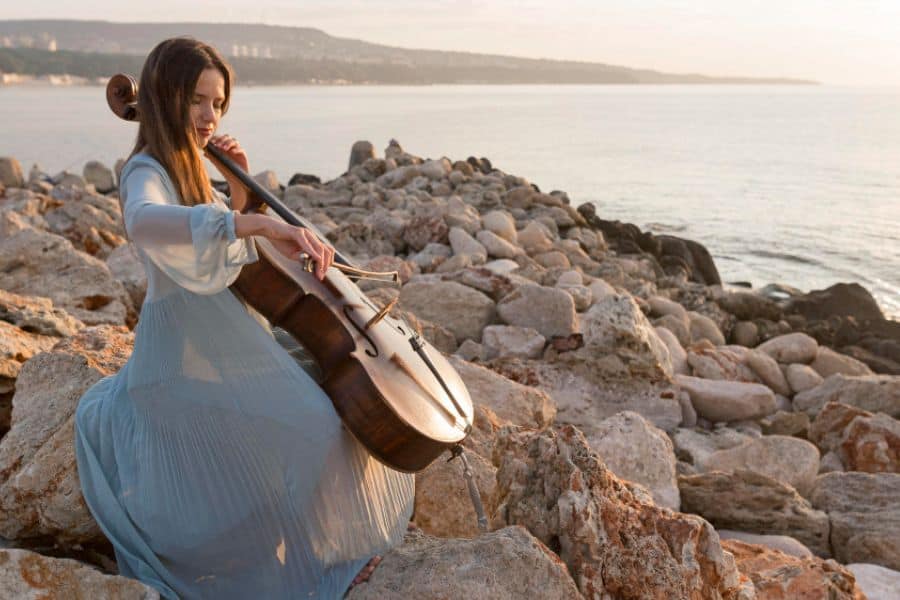 String Instruments Held between Knees Full List Musiicz