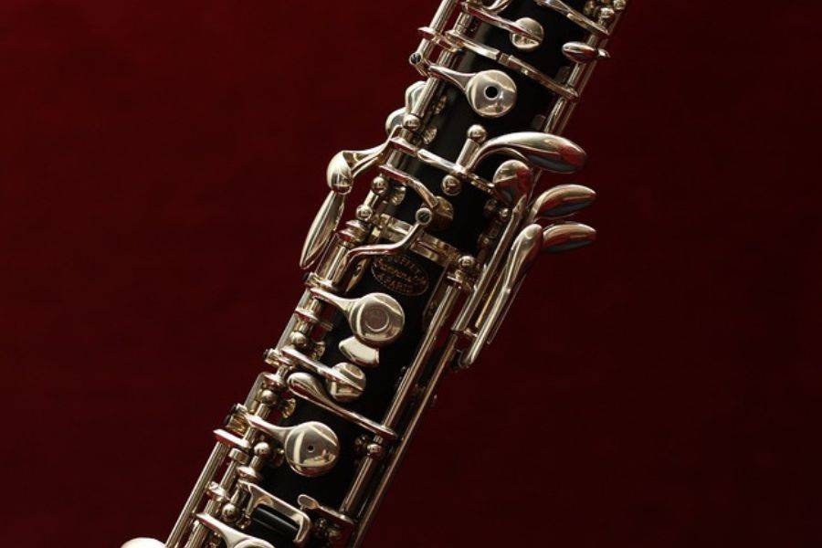 Dealing with Oboe Squeaking: Common Causes & Solutions - Musiicz