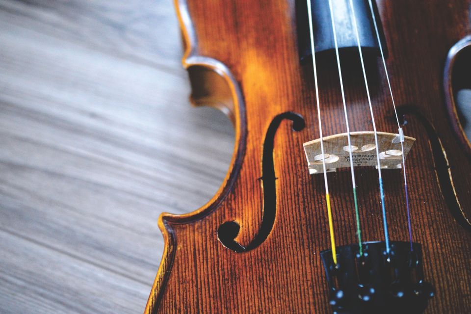 best violin strings