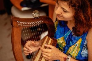 7 Best Harps for Beginners Reviews and Guide - Musiicz